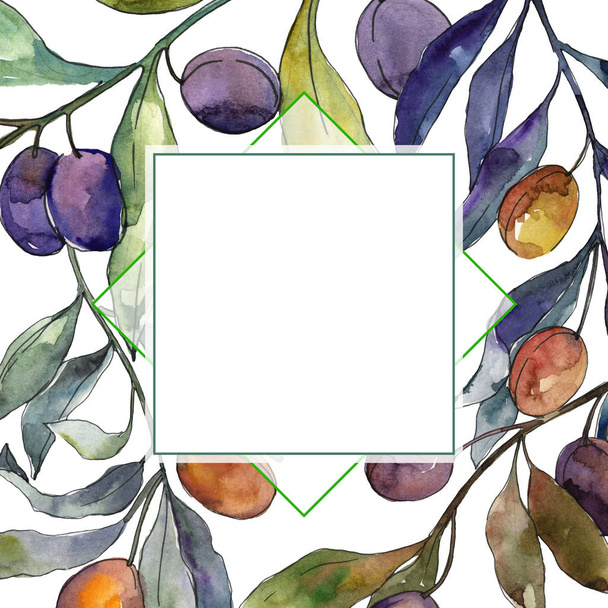 Olive branch with black and green fruit. Watercolor background illustration set. Frame border ornament square. - Foto, afbeelding