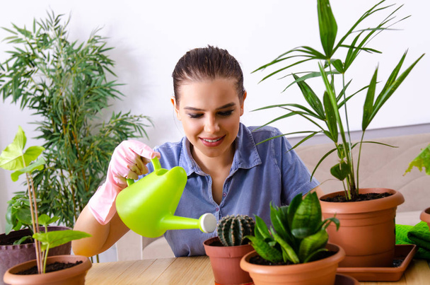 молода жінка садівник з рослинами в приміщенні
  - Фото, зображення