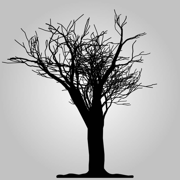 Icona dell'albero. Simbolo della foresta. Segno web piatto su sfondo bianco. Passi vettoriali 10
 - Vettoriali, immagini
