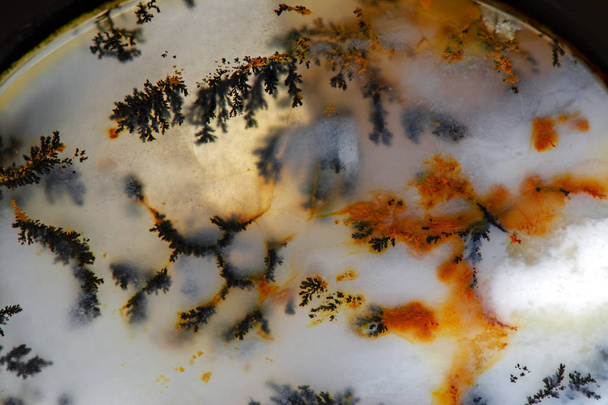 Extreme macro of Gemstone Moss Agate (Mossy Opal) with natural abstract pattern details - Photo, Image
