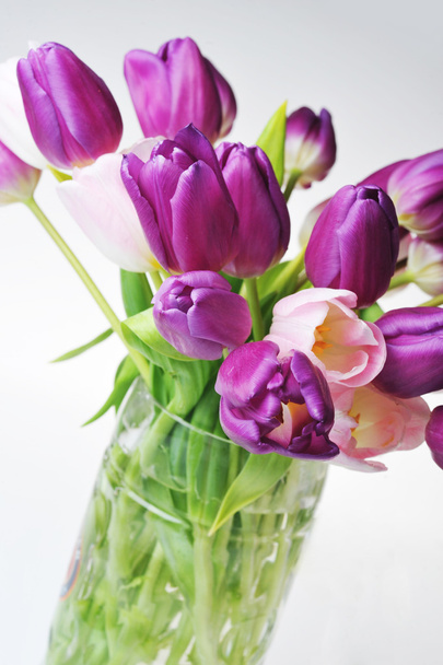 Tulips in glass vase - Fotoğraf, Görsel