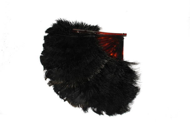 vintage hand black feather fan auf weißem Hintergrund - Foto, Bild