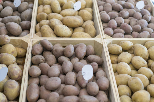 Různé odrůdy brambor. - Fotografie, Obrázek