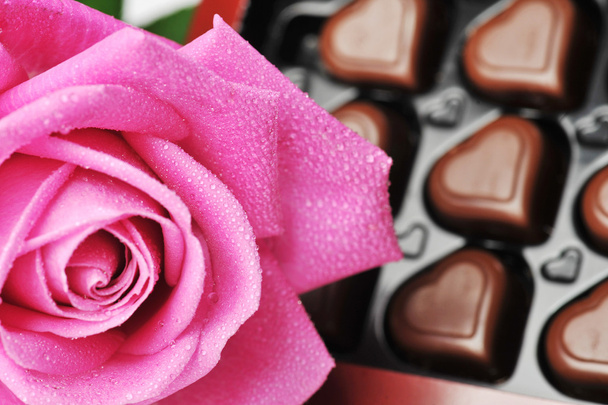 Chocolate and pink rose - Foto, Bild