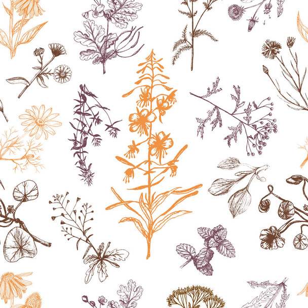 Medicinal herbs seamless pattern orange and brown - Vector, imagen