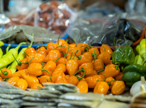 Habanero peppers in market in Cozumel, Mexico. - 写真・画像
