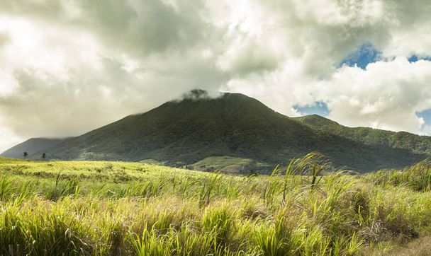 The volcano of Mt Liamuiga on St Kitts, in the Caribbean - Φωτογραφία, εικόνα