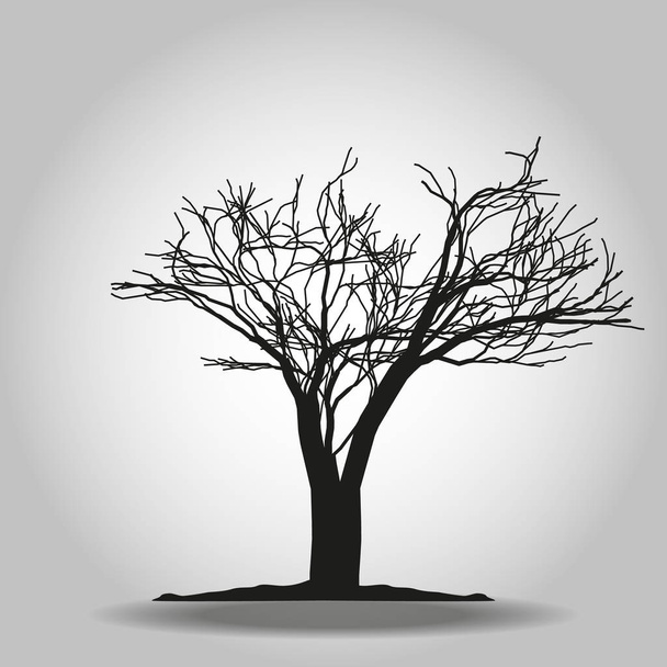 Baumsymbol. Waldsymbol. flaches Webschild auf weißem Hintergrund. Vektor Folge 10 - Vektor, Bild