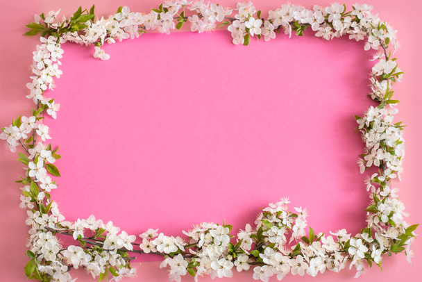 Pink delicate spring background with spring flowers - Photo, Image