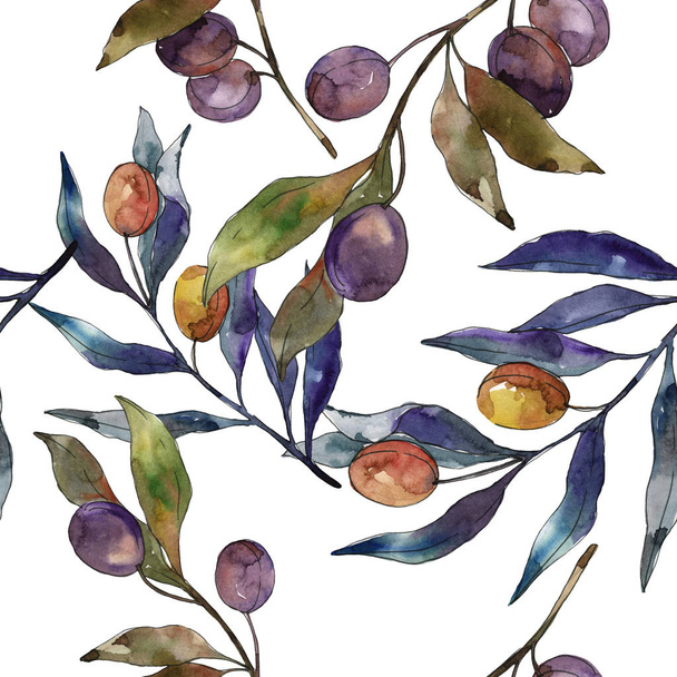 Olive branch with black and green fruit. Watercolor background illustration set. Seamless background pattern. - 写真・画像