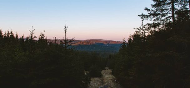 schöner Sonnenaufgang im Waldtal mit Sonne auf fernen Hügeln - Foto, Bild