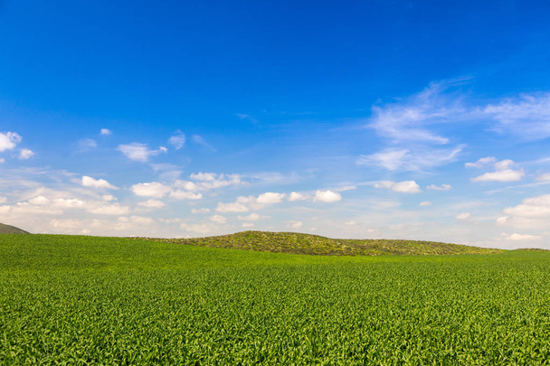 Exuberante paisaje verde de la tierra de granja con colinas en la distancia
 - Foto, imagen