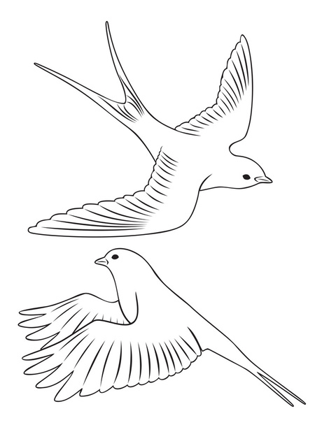 bird swallow - Vektori, kuva