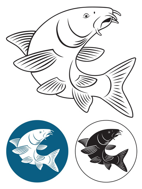 La figura mostra un pesce barbo
 - Vettoriali, immagini