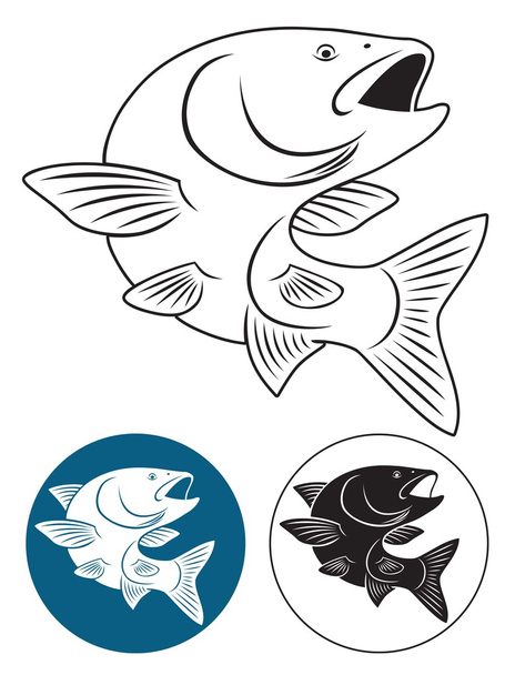 The figure shows a fish chub - Vector, Image