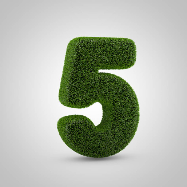 Volumetric green moss number 5 isolated on white background. 3D rendered grass alphabet. Eco font for banner, poster, cover, logo design template element. - Photo, Image