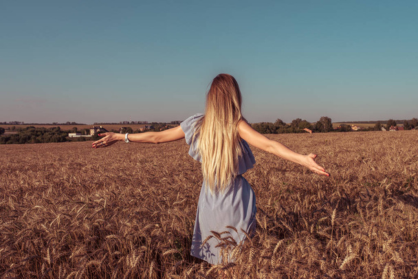 Una donna allarga le braccia a fianco in estate in un campo di grano. Abito blu e capelli lunghi. Godersi la ricreazione all'aperto in una giornata luminosa e soleggiata. Stile di vita in campagna nel fine settimana
. - Foto, immagini