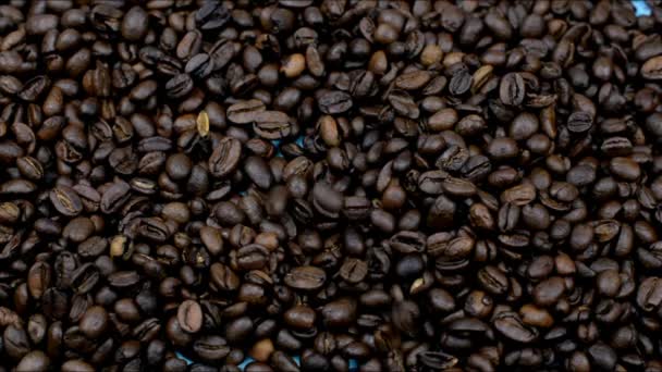 fragrant roasted coffee beans fall - Footage, Video