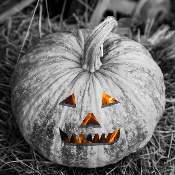 monochrome pumpkin fiery smile eyes lantern jack devilish head terrifying decor halloween - Photo, Image