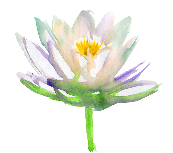 Lotus çiçeği. suluboya - Fotoğraf, Görsel