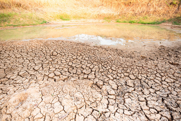 Ραγισμένο χώμα στη λίμνη, ξηρασία στην Ταϊλάνδη,  - Φωτογραφία, εικόνα