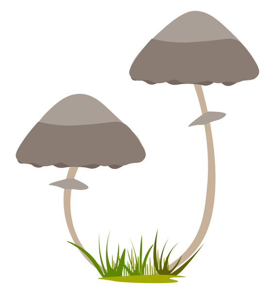 Dois cogumelos crescente vetor ilustração no fundo branco
  - Vetor, Imagem