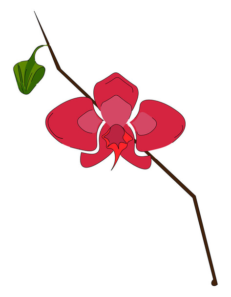 単一の緑の葉ベクトルの描画またはイラストを持つピンク色の蘭の花 - ベクター画像