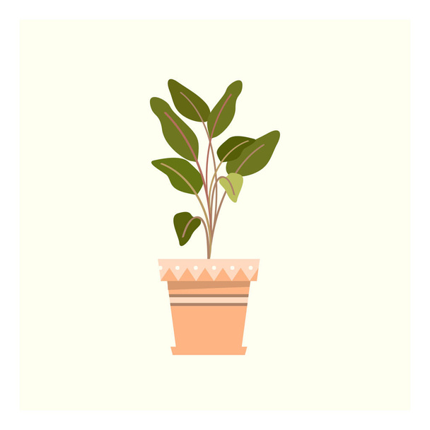 Una piccola pianta verde fresca nel disegno o nell'illustrazione a colori vettoriale della pentola arancione
 - Vettoriali, immagini