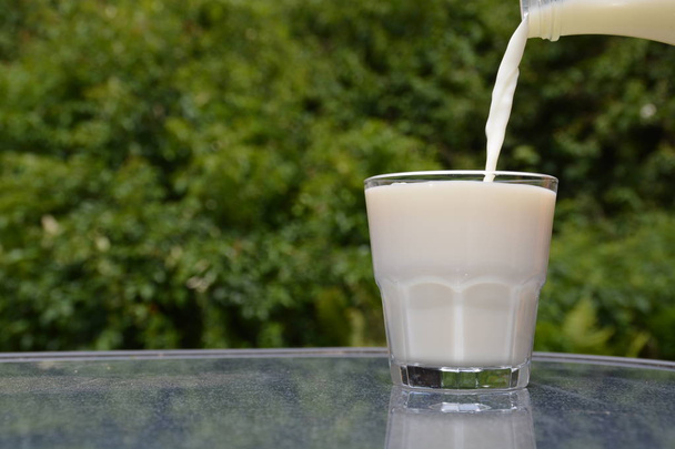 Milch in ein Glas gießen - Foto, Bild