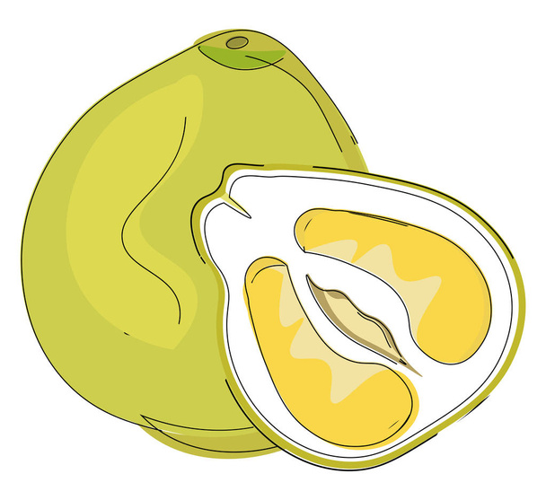 ClipArt egy egész és félig vágott pomelo gyümölcs vektor vagy színes ill - Vektor, kép