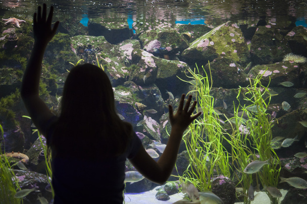 Молода дівчина стоять проти великий акваріум спостереження скла - Фото, зображення