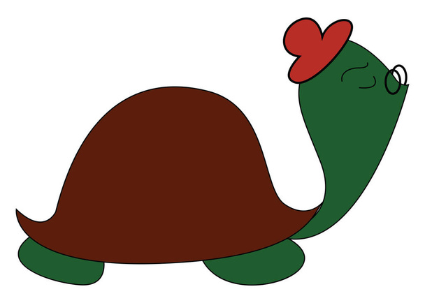 lustige Cartoon-Schildkröte auf isoliertem weißem Hintergrund - Vektor, Bild