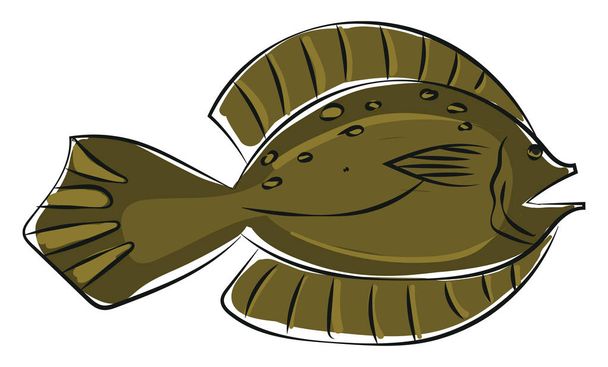 Clipart de um peixe de linguado de inverno / Pseudopleuronectes americanus
  - Vetor, Imagem