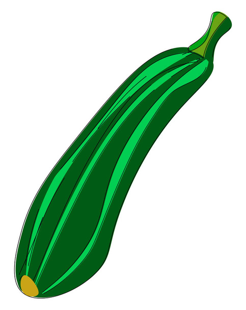 Un vettore zucchine o illustrazione a colori
 - Vettoriali, immagini