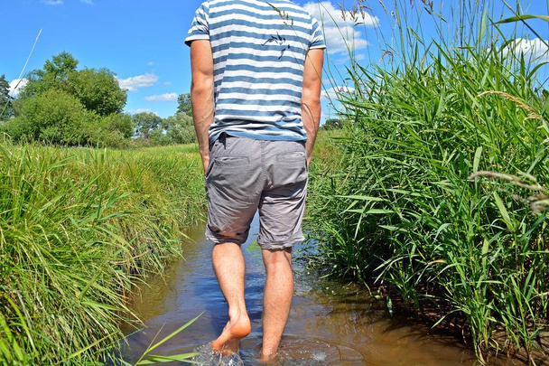 Primer plano en los pies - el hombre camina lentamente con los pies en un pequeño estanque con plantas en él para refrescarse del cálido día de verano
  - Foto, imagen