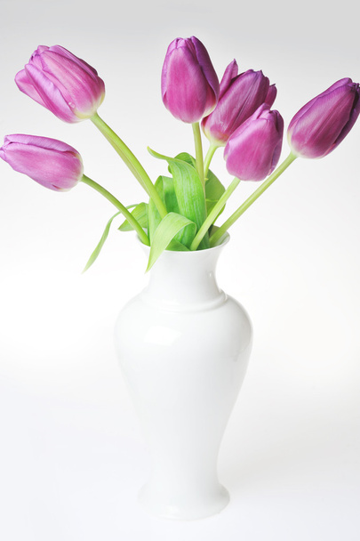 Tulips in vase - Photo, Image