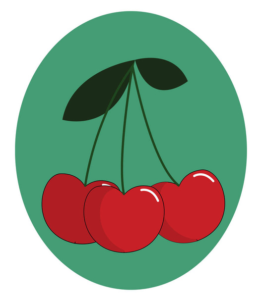 Portré egy csomó cseresznye felett zöld háttér vektor vagy  - Vektor, kép