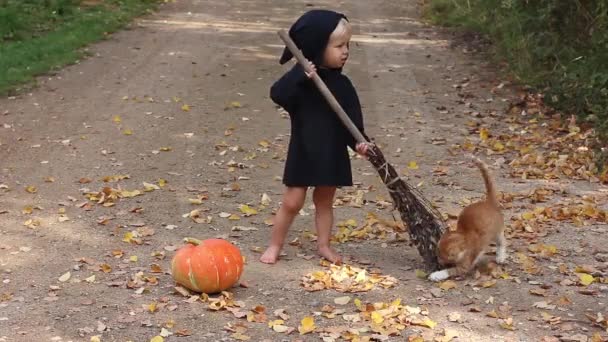 kind in zwarte tovenaar of heks pak voor Halloween veegt door bezem herfst loof in de buurt van verse pompoen, Ginger kitten aanval zijn bezem - Video