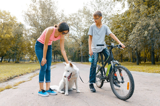 Children teenagers on the road in the park with white dog Husky  - 写真・画像