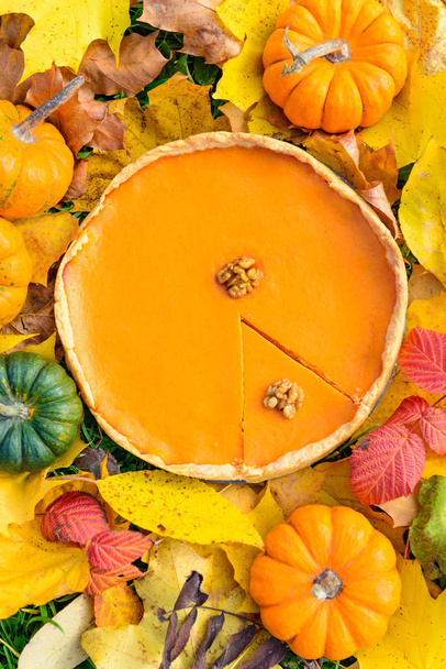 American pumpkin pie on the background of fallen leaves  - Fotó, kép