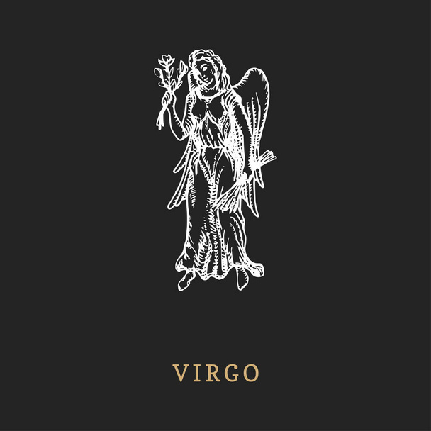 Virgo zodiac symbol, hand drawn in engraving style. Vector graphic retro illustration of astrological sign Maiden. - Διάνυσμα, εικόνα