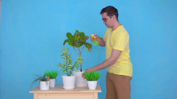 middle-aged man sprays and cares for plants on the table - Séquence, vidéo