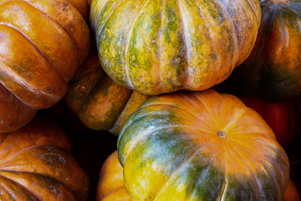 manojo calabazas naranja verde muchas verduras otoño cosecha fondo estacional
 - Foto, imagen
