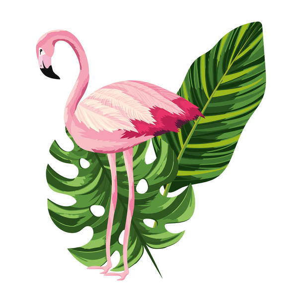 tropická plameňáků kreslený - Vektor, obrázek