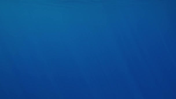 4k lassú mozgás víz alatti videó a nap sugarai süt a tenger felszínén - Felvétel, videó