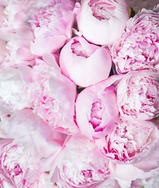 Fondo de flores de peonías rosadas. Flores
 - Foto, Imagen