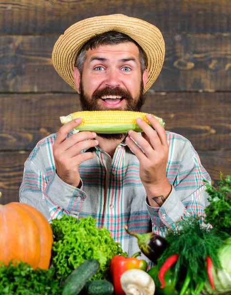 Healthy lifestyle. Homegrown organic harvest benefits. Farmer hold corncob or maize wooden background. Farmer presenting organic homegrown vegetables. Grow organic crops. Community gardens and farms - Photo, Image
