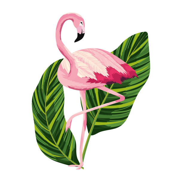tropical flamingo cartoon - Vector, Image