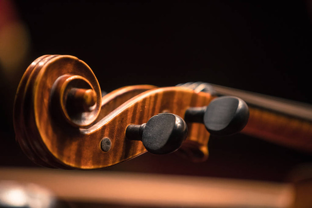 Double bass scroll and tuning pegs - Photo, Image