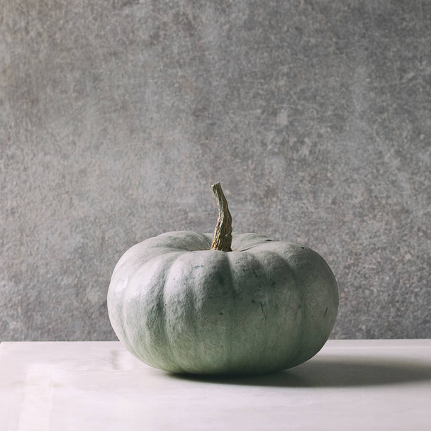 Grey big pumpkin - Fotografie, Obrázek